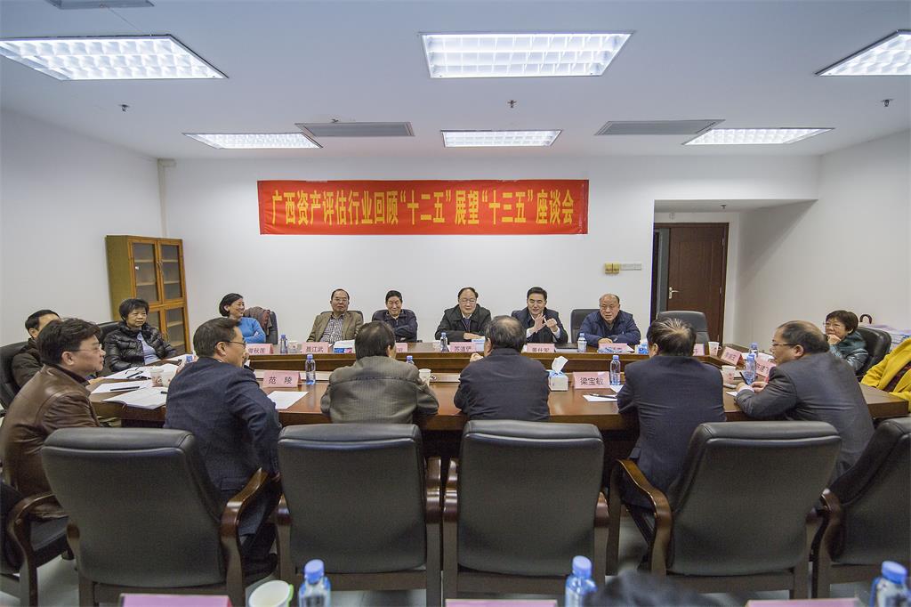 广西资产评估协会回顾“十二五”展望“十三五”座谈会