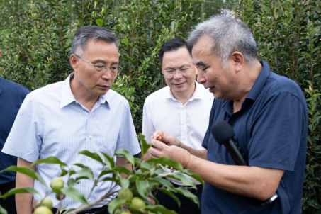 1727421765200872.png image.png