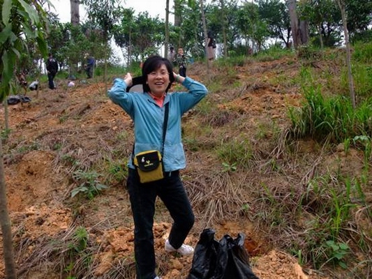 广西信达友邦资产评估公司组织植树活动