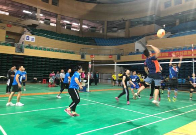 奋力拼搏，勇创佳绩